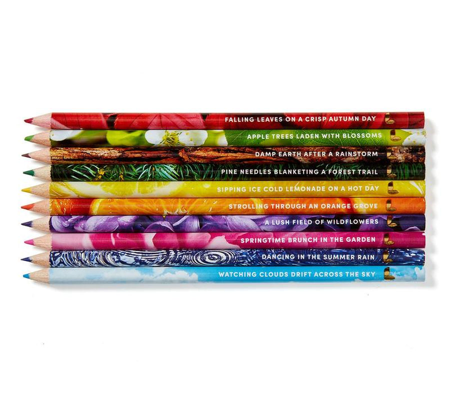 Lifelines Pen + Pencil Bundle